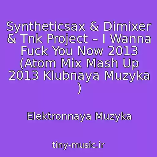 کاور آهنگ Syntheticsax & Dimixer & Tnk Project – I Wanna Fuck You Now 2013 (Atom Mix Mash Up 2013 Klubnaya Muzyka ) از Elektronnaya Muzyka