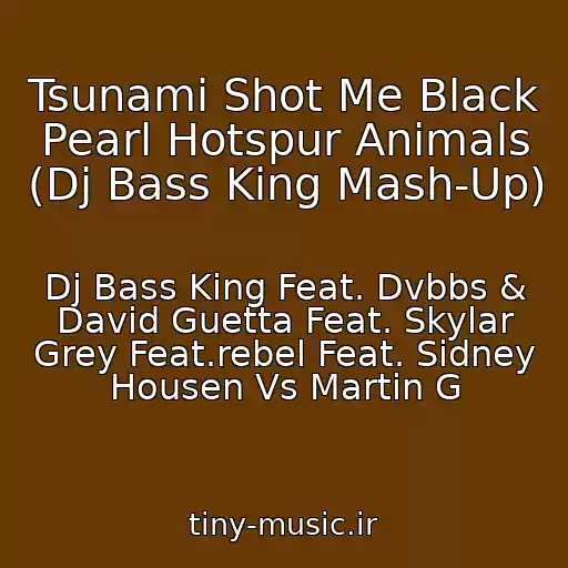 کاور آهنگ Tsunami Shot Me Black Pearl Hotspur Animals (Dj Bass King Mash-Up) از Dj Bass King Feat. Dvbbs & David Guetta Feat. Skylar Grey Feat.rebel Feat. Sidney Housen Vs Martin G