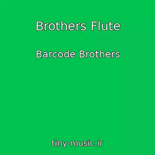 کاور آهنگ Brothers Flute از Barcode Brothers