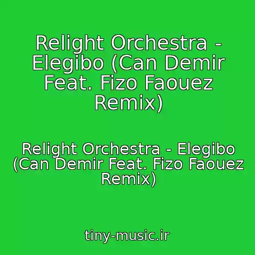کاور آهنگ Relight Orchestra - Elegibo (Can Demir Feat. Fizo Faouez Remix) از Relight Orchestra - Elegibo (Can Demir Feat. Fizo Faouez Remix)