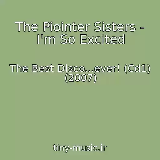 کاور آهنگ The Piointer Sisters - I'm So Excited از The Best Disco...ever! (Cd1) (2007)