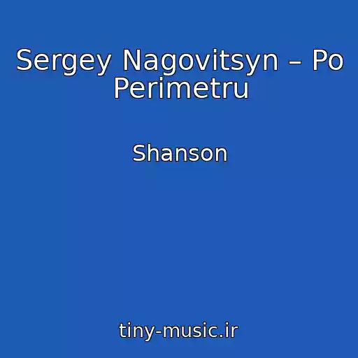 کاور آهنگ Sergey Nagovitsyn – Po Perimetru از Shanson