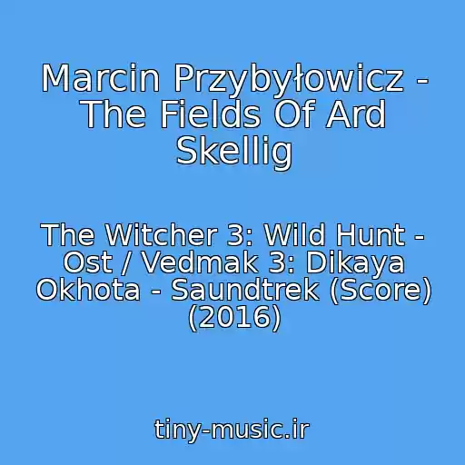 کاور آهنگ Marcin Przybyłowicz - The Fields Of Ard Skellig از The Witcher 3: Wild Hunt - Ost / Vedmak 3: Dikaya Okhota - Saundtrek (Score) (2016)