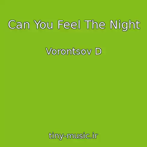 کاور آهنگ Can You Feel The Night از Vorontsov D