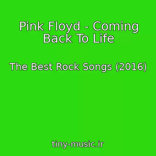 کاور آهنگ Pink Floyd - Coming Back To Life از The Best Rock Songs (2016)