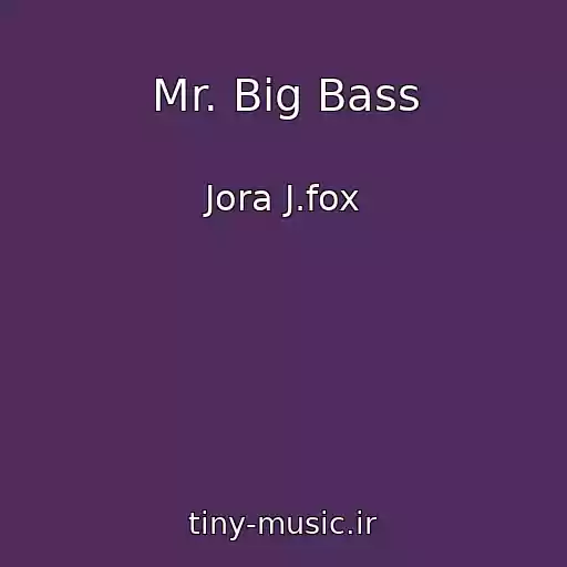 کاور آهنگ Mr. Big Bass از Jora J.fox