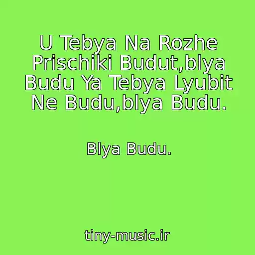 کاور آهنگ U Tebya Na Rozhe Prischiki Budut,blya Budu Ya Tebya Lyubit Ne Budu,blya Budu. از Blya Budu.
