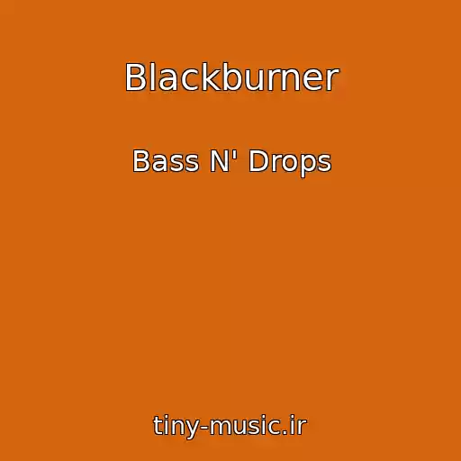 کاور آهنگ Blackburner از Bass N' Drops