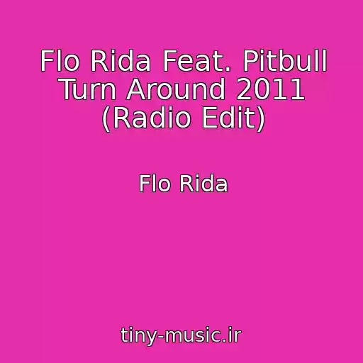 کاور آهنگ Flo Rida Feat. Pitbull Turn Around 2011 (Radio Edit) از Flo Rida