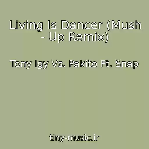 کاور آهنگ Living Is Dancer (Mush - Up Remix) از Tony Igy Vs. Pakito Ft. Snap