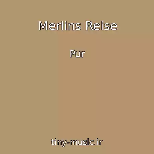 کاور آهنگ Merlins Reise از Pur