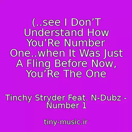 کاور آهنگ (..see I Don’T Understand How You’Re Number One..when It Was Just A Fling Before Now, You’Re The One از Tinchy Stryder Feat. N-Dubz - Number 1