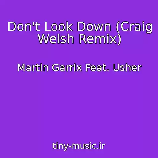 کاور آهنگ Don't Look Down (Craig Welsh Remix) از Martin Garrix Feat. Usher