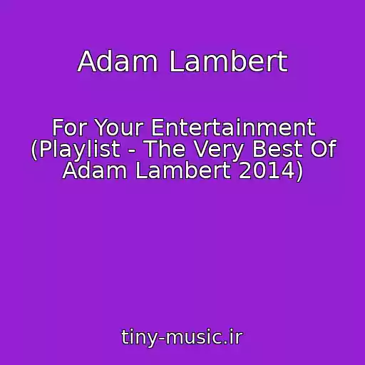 کاور آهنگ Adam Lambert از For Your Entertainment (Playlist - The Very Best Of Adam Lambert 2014)