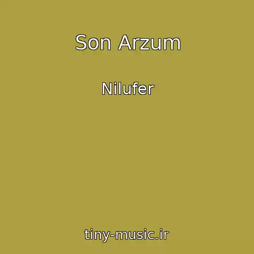 کاور آهنگ Son Arzum از Nilufer