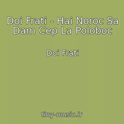 کاور آهنگ Doi Frati - Hai Noroc Sa Dam Cep La Poloboc از Doi Frati