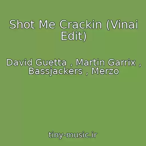 کاور آهنگ Shot Me Crackin (Vinai Edit) از David Guetta , Martin Garrix , Bassjackers , Merzo