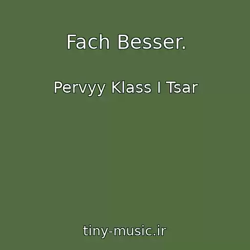 کاور آهنگ Fach Besser. از Pervyy Klass I Tsar