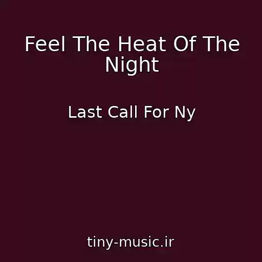 کاور آهنگ Feel The Heat Of The Night از Last Call For Ny