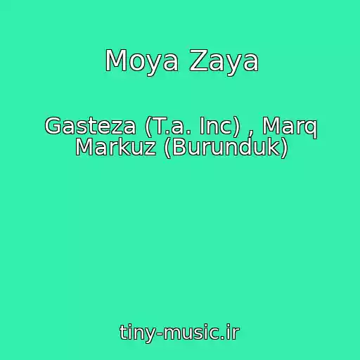 کاور آهنگ Moya Zaya از Gasteza (T.a. Inc) , Marq Markuz (Burunduk)