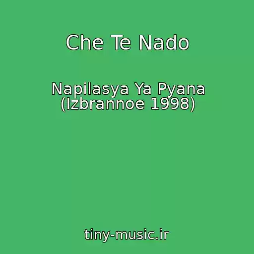کاور آهنگ Che Te Nado از Napilasya Ya Pyana (Izbrannoe 1998)