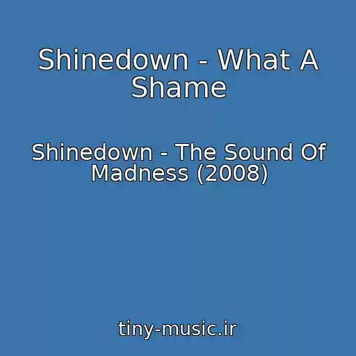 کاور آهنگ Shinedown - What A Shame از Shinedown - The Sound Of Madness (2008)