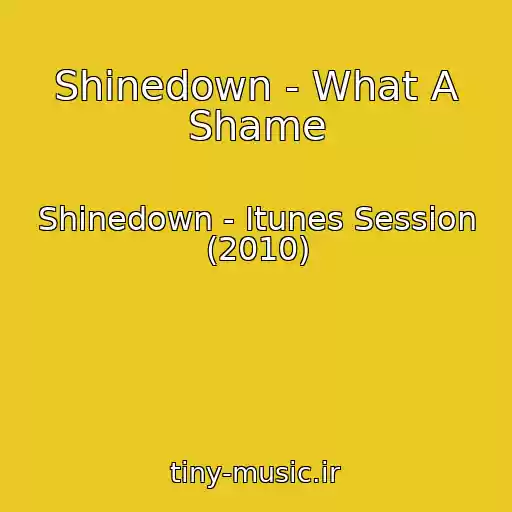 کاور آهنگ Shinedown - What A Shame از Shinedown - Itunes Session (2010)
