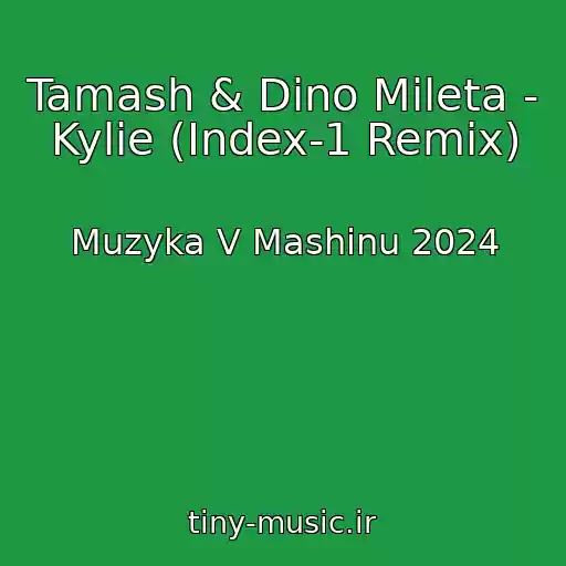 کاور آهنگ Tamash & Dino Mileta - Kylie (Index-1 Remix) از Muzyka V Mashinu 2024