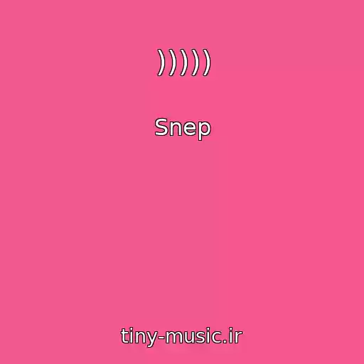 کاور آهنگ ))))) از Snep