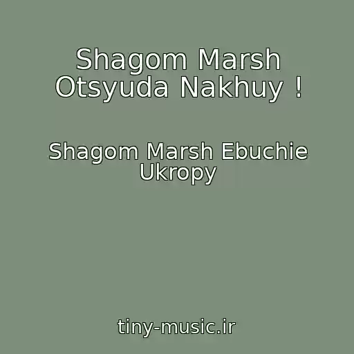 کاور آهنگ Shagom Marsh Otsyuda Nakhuy ! از Shagom Marsh Ebuchie Ukropy