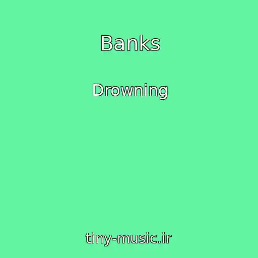 کاور آهنگ Banks از Drowning