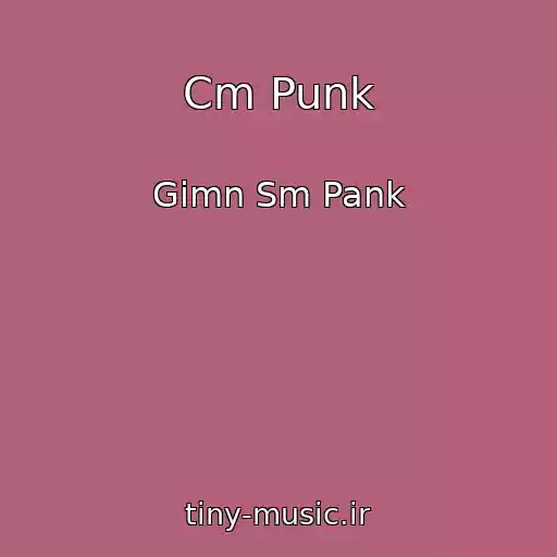 کاور آهنگ Cm Punk از Gimn Sm Pank