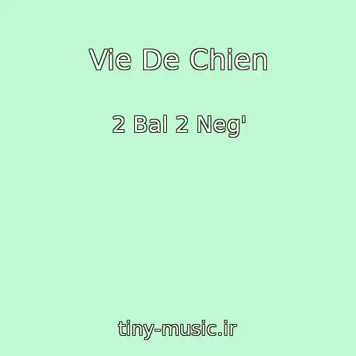کاور آهنگ Vie De Chien از 2 Bal 2 Neg'