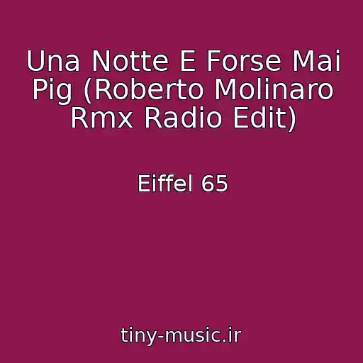 کاور آهنگ Una Notte E Forse Mai Pig (Roberto Molinaro Rmx Radio Edit) از Eiffel 65