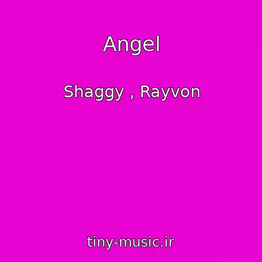 کاور آهنگ Angel از Shaggy , Rayvon