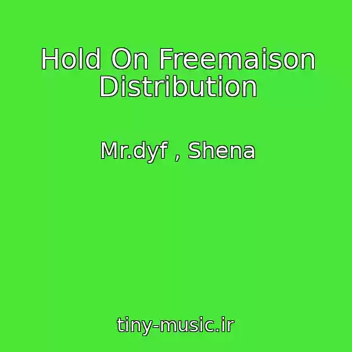 کاور آهنگ Hold On Freemaison Distribution از Mr.dyf , Shena