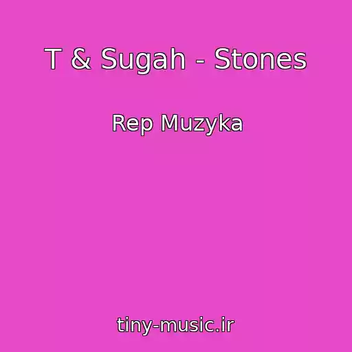 کاور آهنگ T & Sugah - Stones از Rep Muzyka