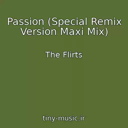 کاور آهنگ Passion (Special Remix Version Maxi Mix) از The Flirts