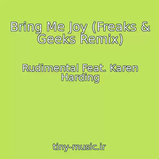 کاور آهنگ Bring Me Joy (Freaks & Geeks Remix) از Rudimental Feat. Karen Harding