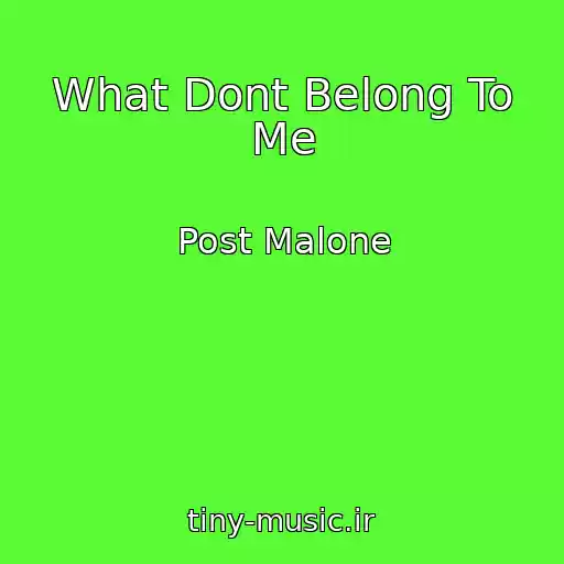 کاور آهنگ What Dont Belong To Me از Post Malone