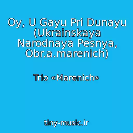 کاور آهنگ Oy, U Gayu Pri Dunayu (Ukrainskaya Narodnaya Pesnya, Obr.a.marenich) از Trio «Marenich»