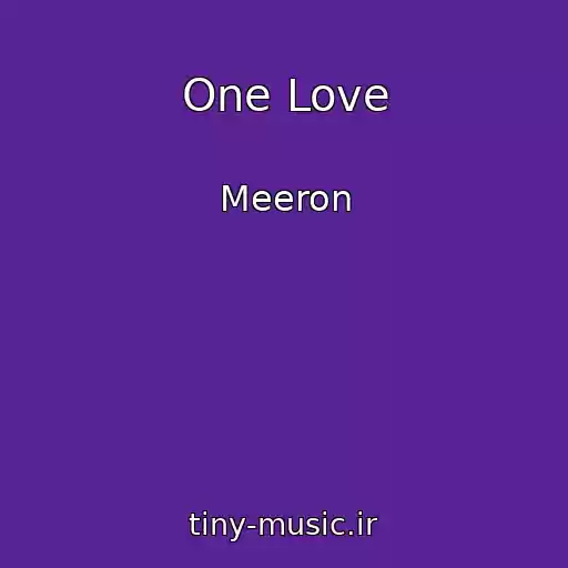 کاور آهنگ One Love از Meeron