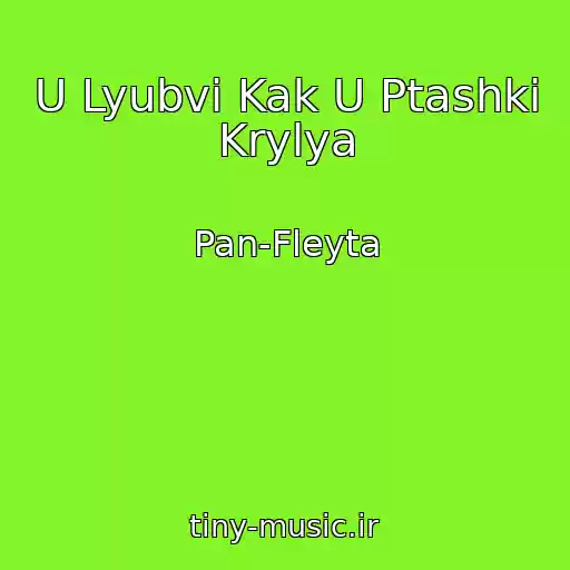 کاور آهنگ U Lyubvi Kak U Ptashki Krylya از Pan-Fleyta