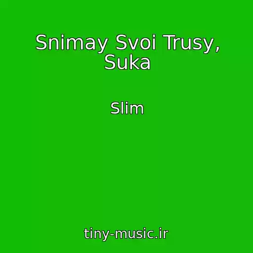 کاور آهنگ Snimay Svoi Trusy, Suka از Slim