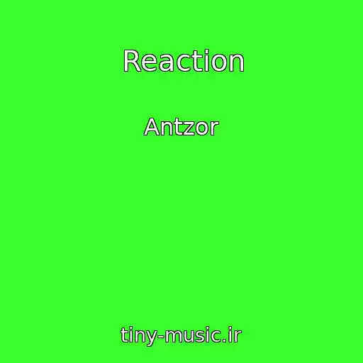 کاور آهنگ Reaction از Antzor