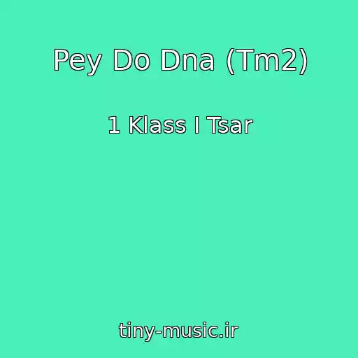 کاور آهنگ Pey Do Dna (Tm2) از 1 Klass I Tsar