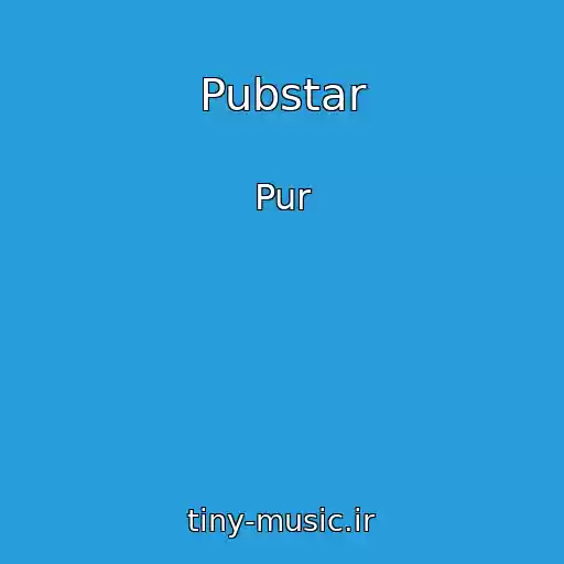 کاور آهنگ Pubstar از Pur