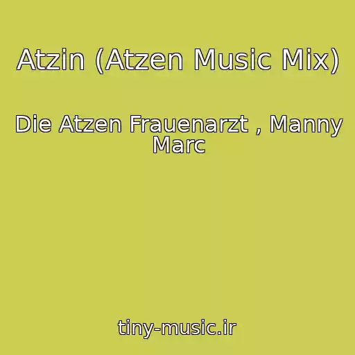 کاور آهنگ Atzin (Atzen Music Mix) از Die Atzen Frauenarzt , Manny Marc