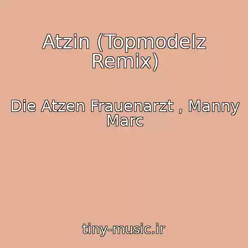 کاور آهنگ Atzin (Topmodelz Remix) از Die Atzen Frauenarzt , Manny Marc