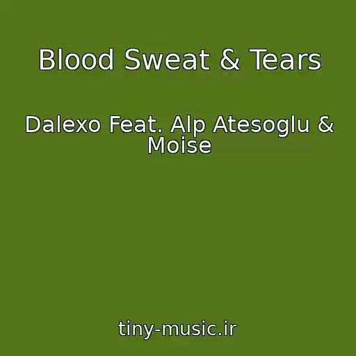 کاور آهنگ Blood Sweat & Tears از Dalexo Feat. Alp Atesoglu & Moise